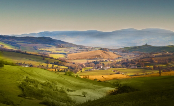 Colline marchigiane